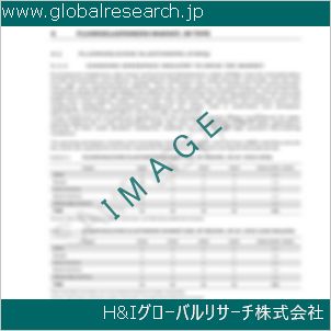 グローバルリサーチ調査資料のイメージ